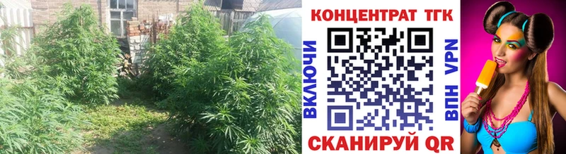 Дистиллят ТГК концентрат  Купить где  Светлогорск 