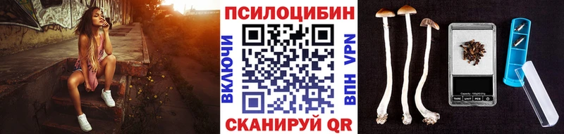Купить закладки  Светлогорск  Галлюциногенные грибы мухоморы 